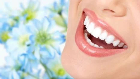 SELVA DENTAL CARE