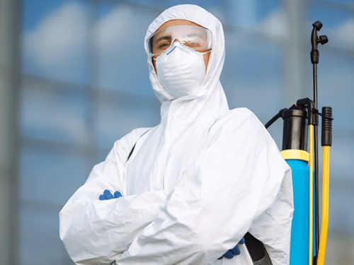 Asian Pest Control