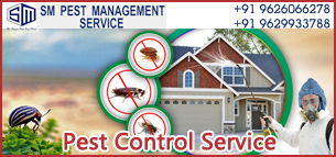 SM Pest Management Service in chengalpattu